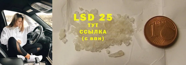 прущие грибы Покров