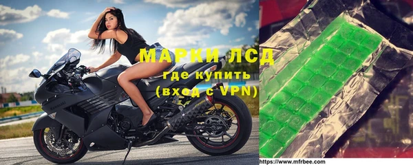 прущие грибы Покров