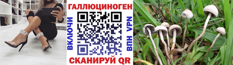 Псилоцибиновые грибы ЛСД  Ивантеевка 